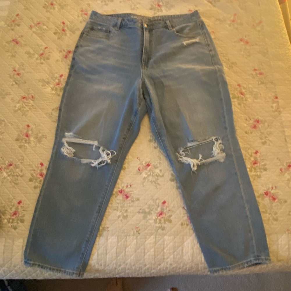 American Eagle Outfitters Light Blue Distressed Mom Jeans